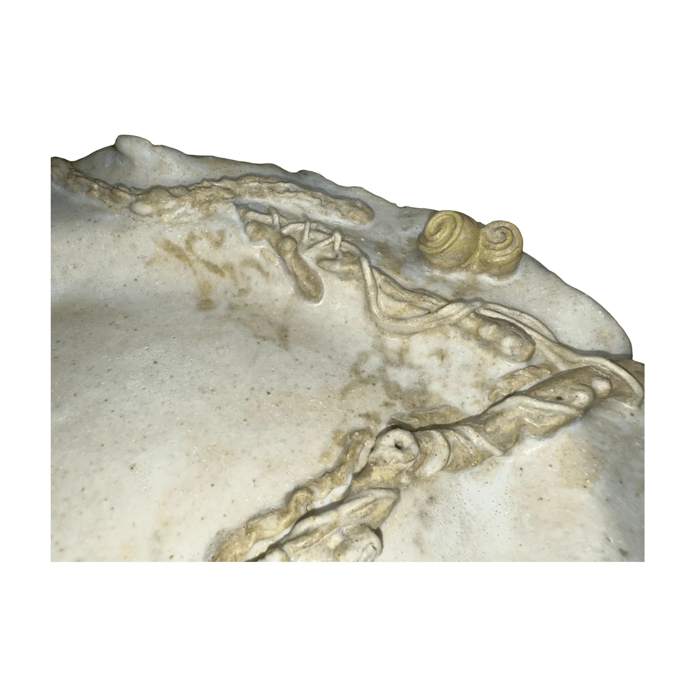 snail plate